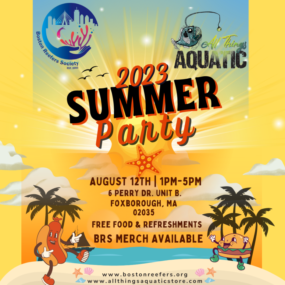 BRSATA BBQ (Instagram Post (Square)).png