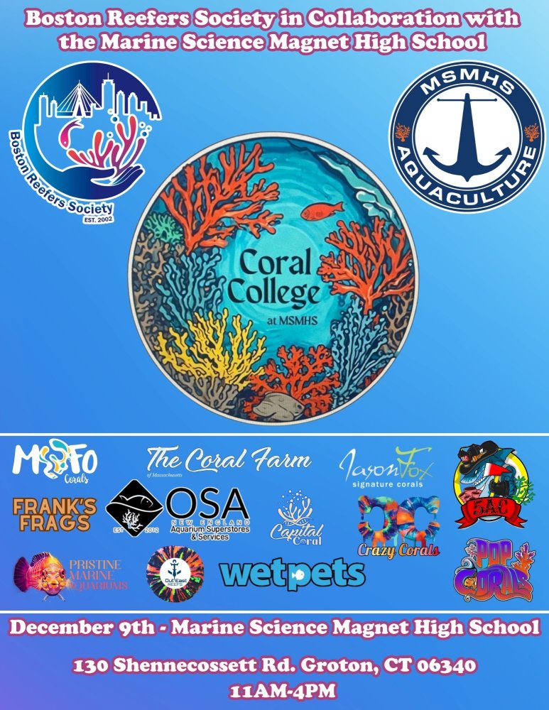 BRSMSMHS Collab - Coral College (2).jpg