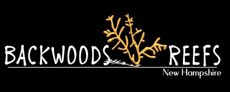 BWReefs.JPG