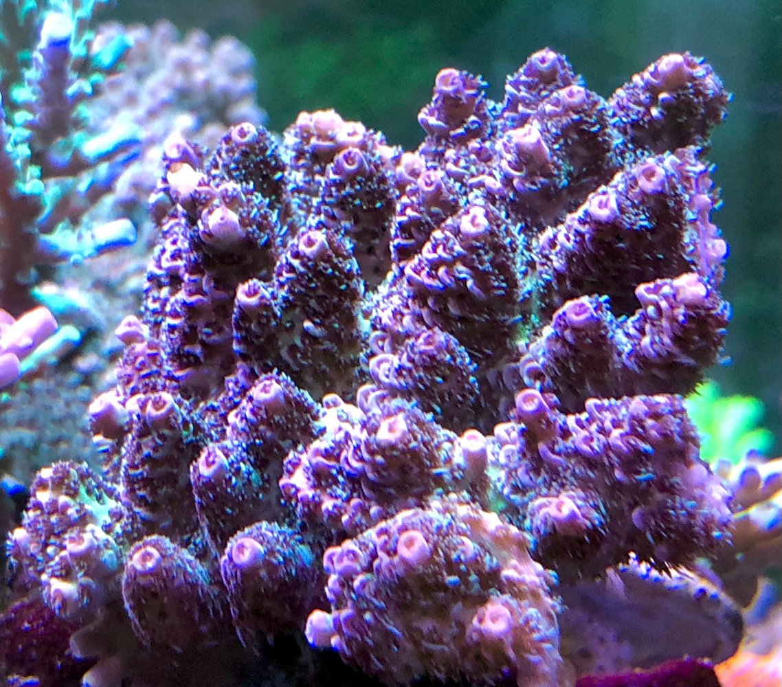C7014621-B448-4665-A239-46E401D48CE8.jpeg