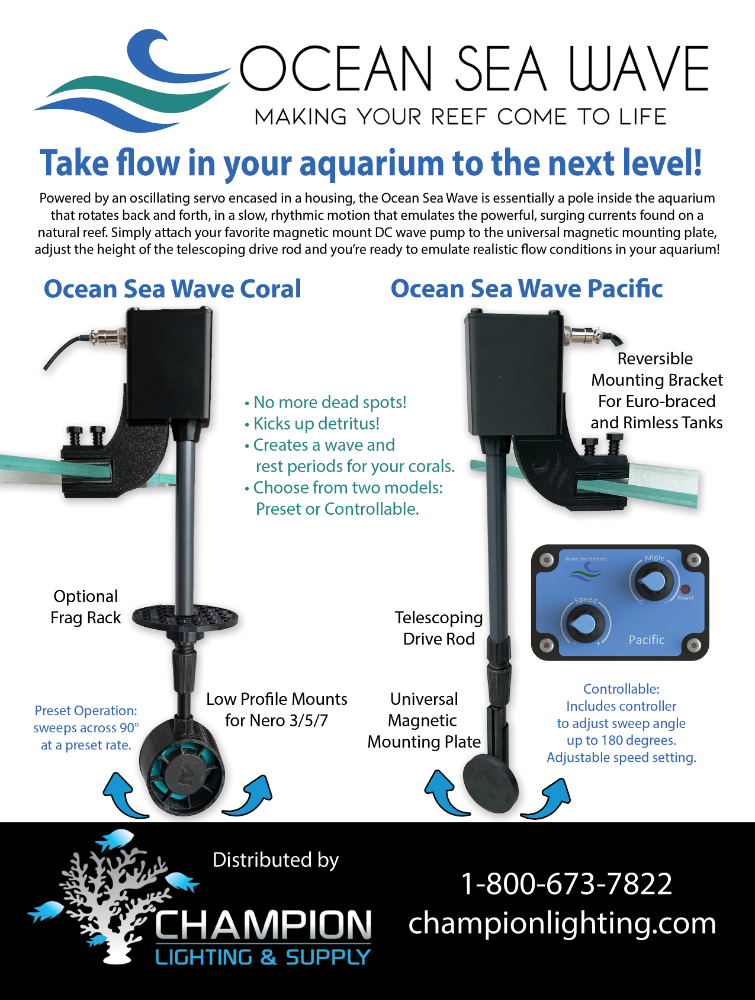 Champion OceanSeaWave Ad.png