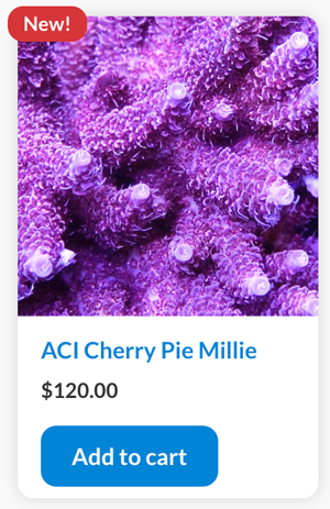 cherry pie.png