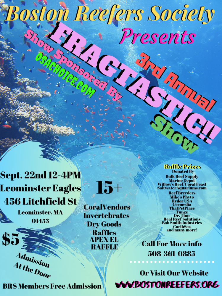 Copy of BRSFragShow.png