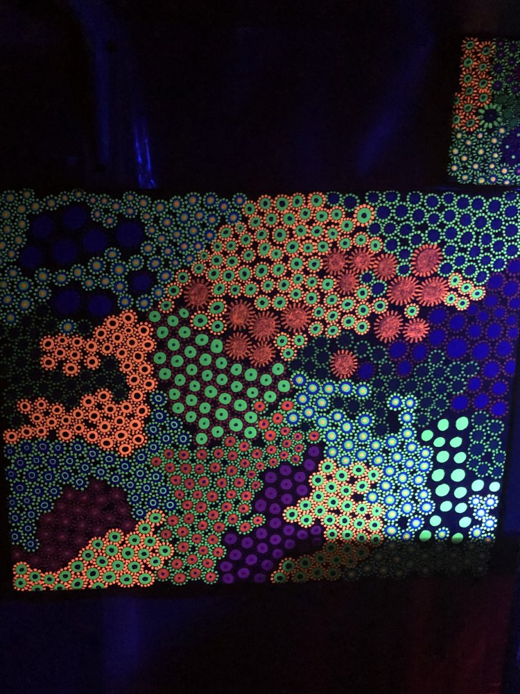 E6C3E57C-383C-48D1-9823-4EBC014C1F90.jpeg
