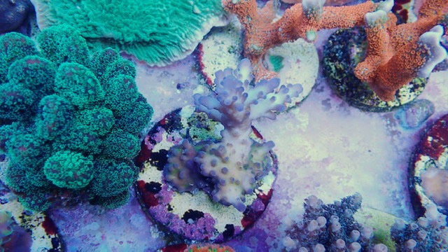 E738B478-8965-47BA-AE1C-457F4C4A3A7B.jpeg