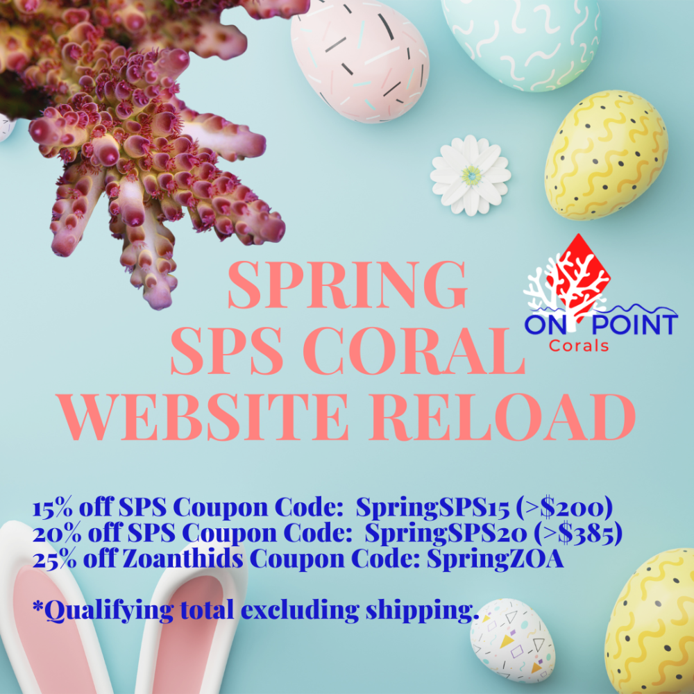 Easter SPS CORAL RELOAD (1).png