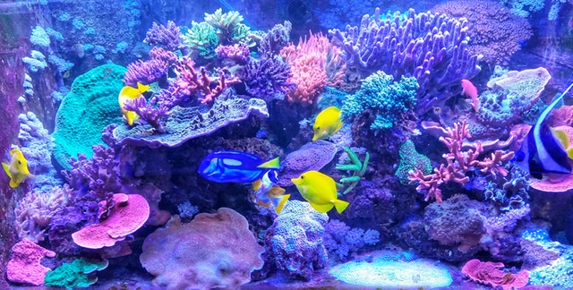 EDCBED3D-6AA6-4072-A0FC-FEB9372E0324.jpeg