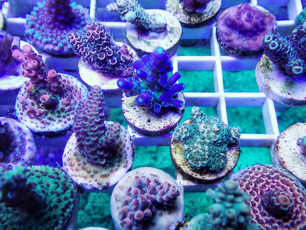 F3B08A69-0936-4A76-9121-4386933CE0A7.jpeg