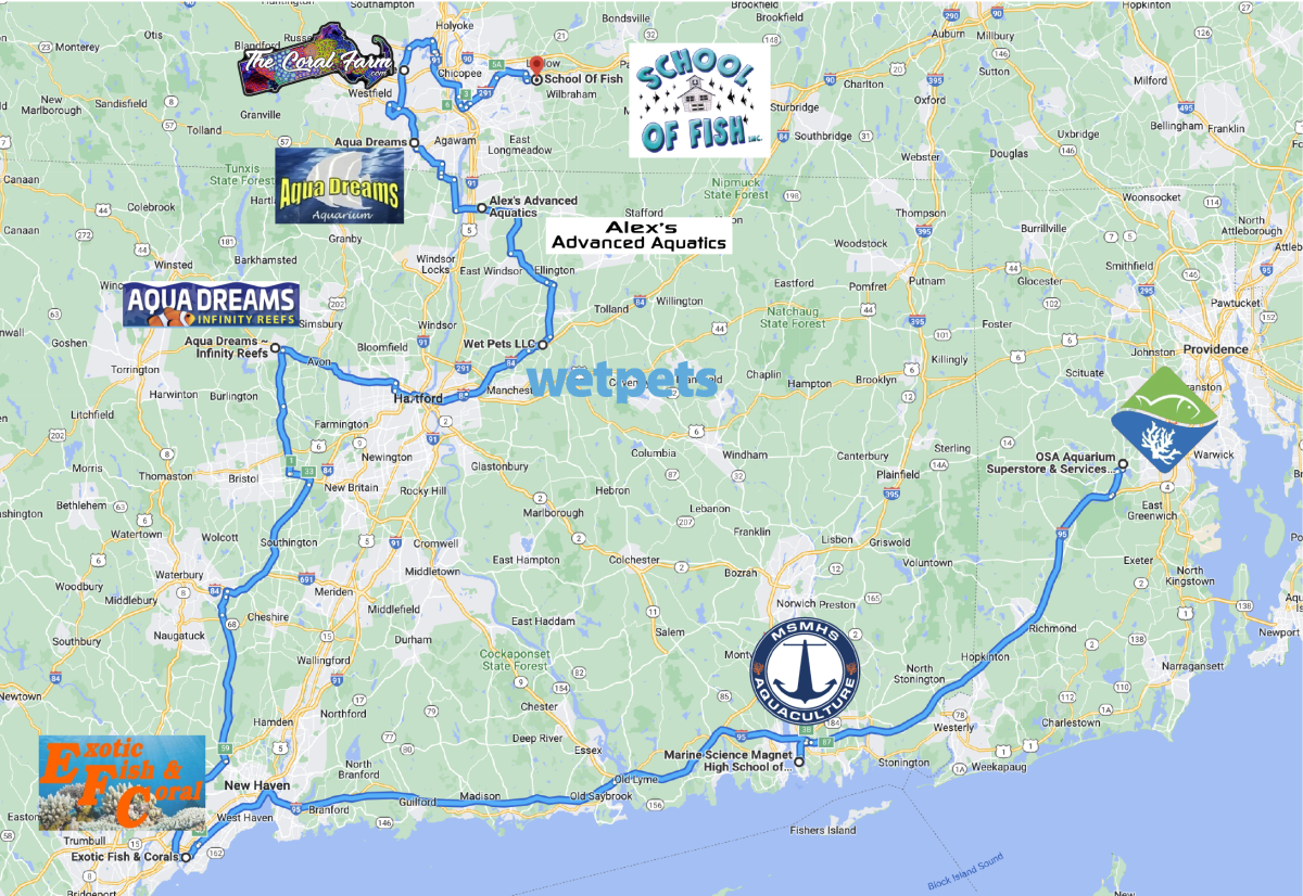 FallFrag2022-05 (1).png