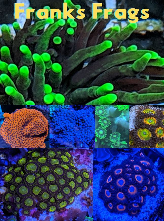 Franks Frags Logo.JPG