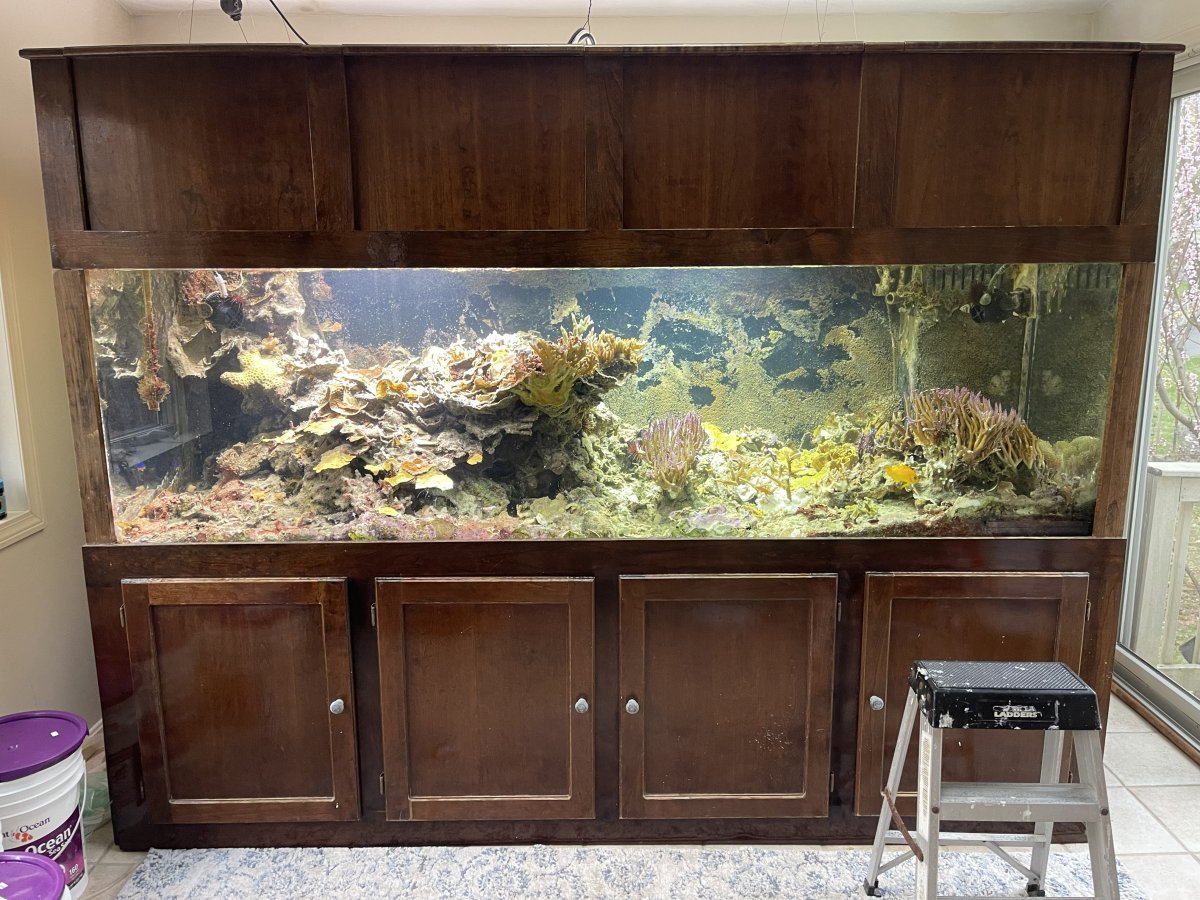 Front full view of tank.jpg
