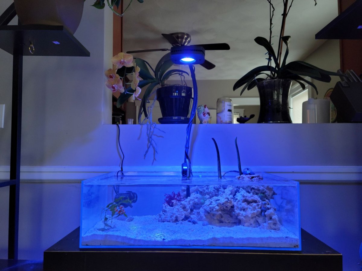 FTS 3.6.2022.jpg