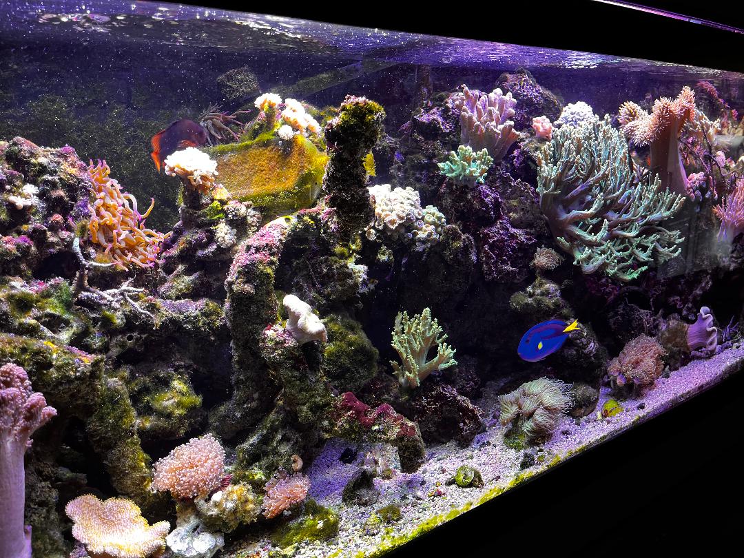 Fts from left.jpg