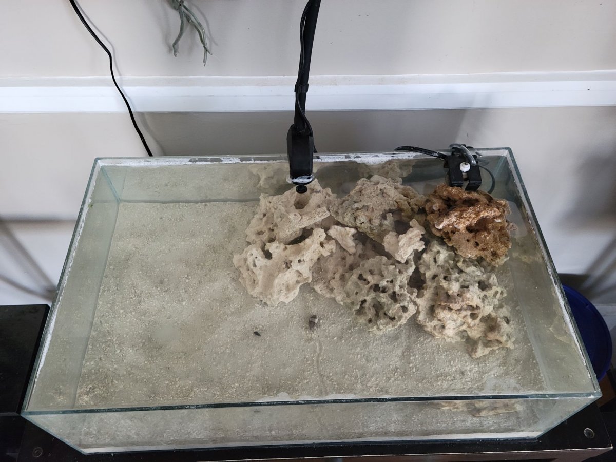 FTS.jpg