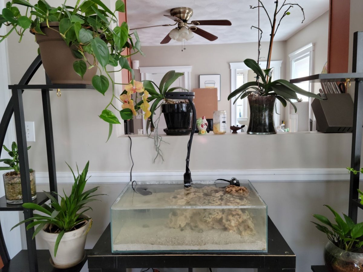 fts2.jpg