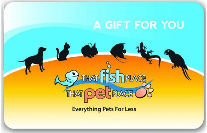 GC That Fish PLace.JPG