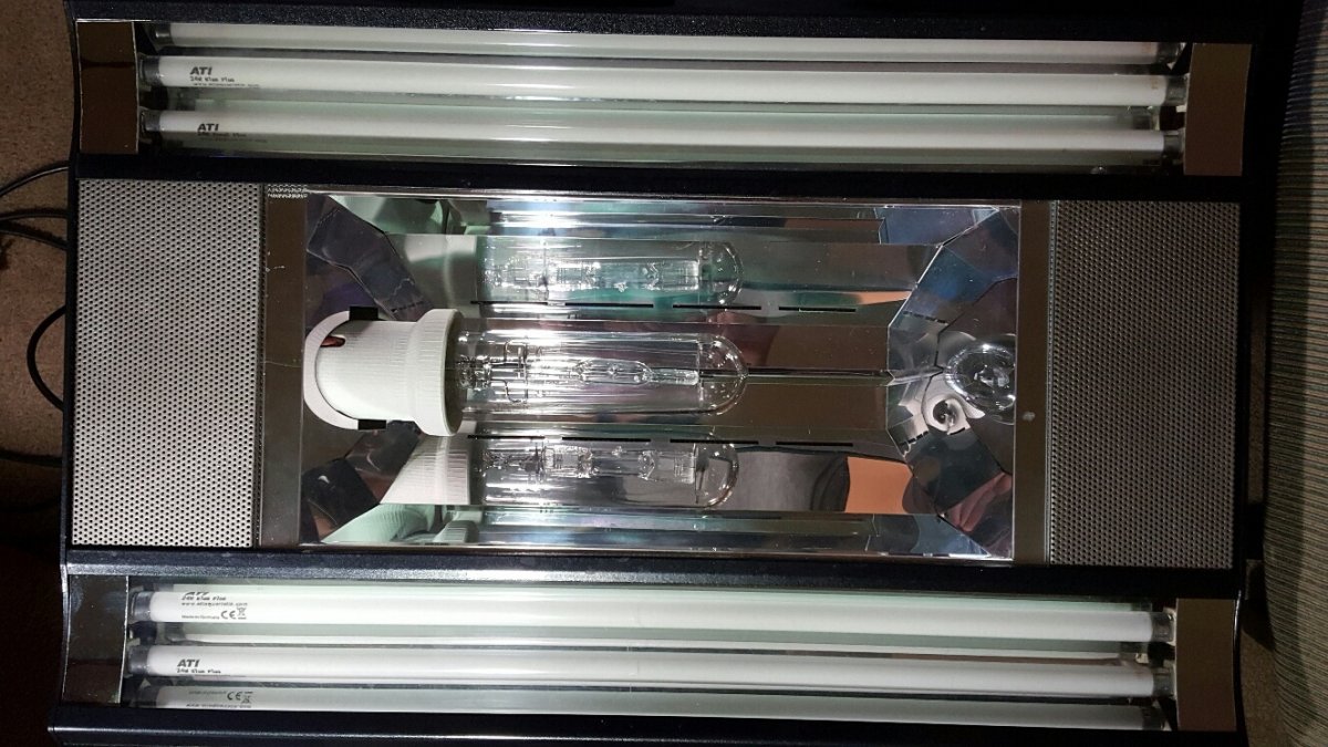 Giesemann Spectra fixture (2).jpg