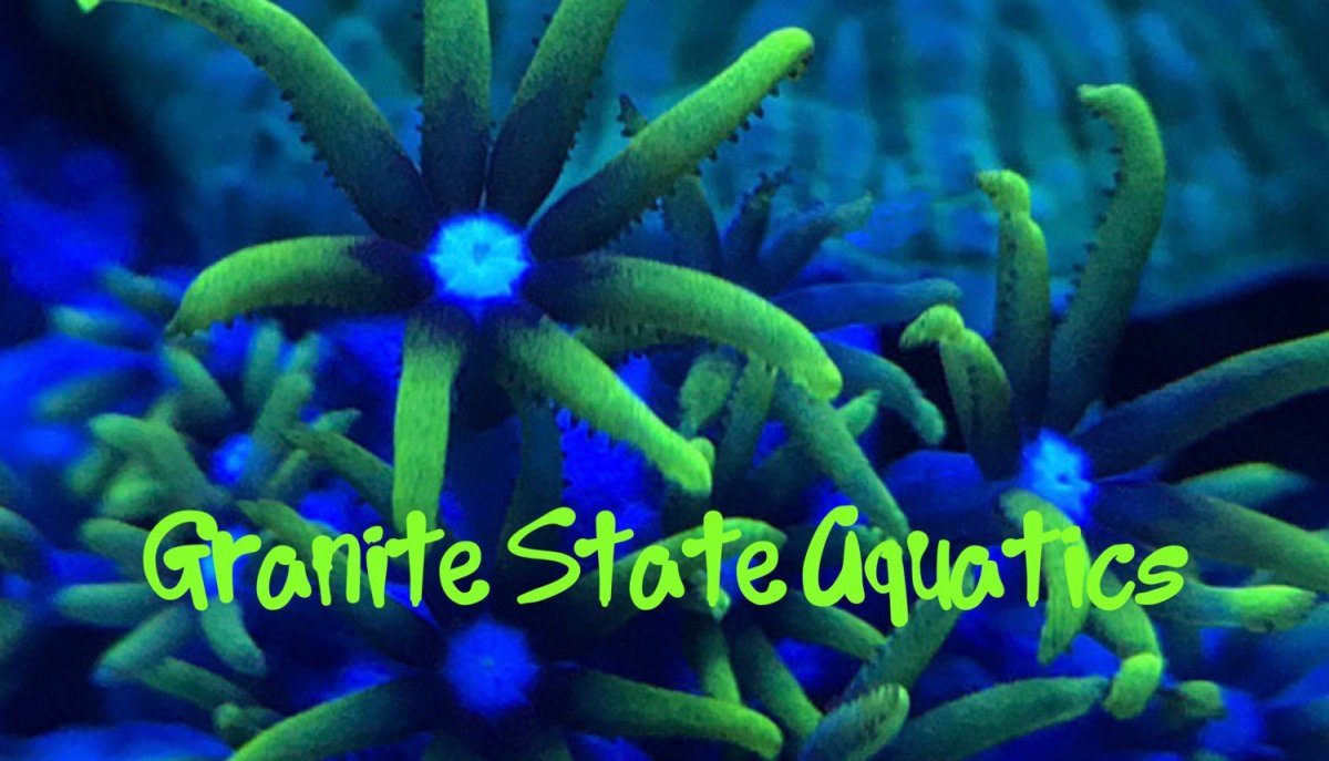 GraniteStateAquatics.jpg