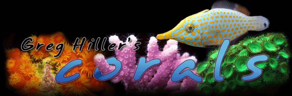 GregHillersCorals.JPG