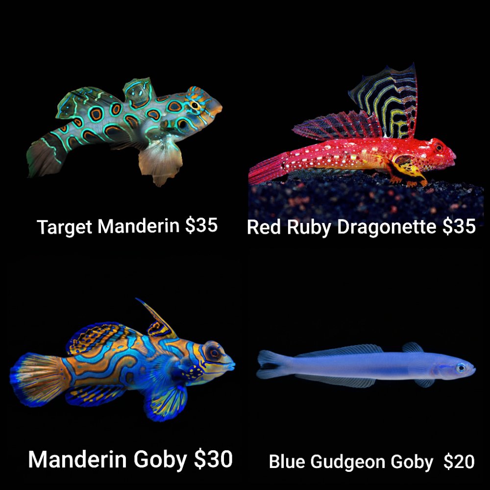 GridArt_20260505_003913662.jpg