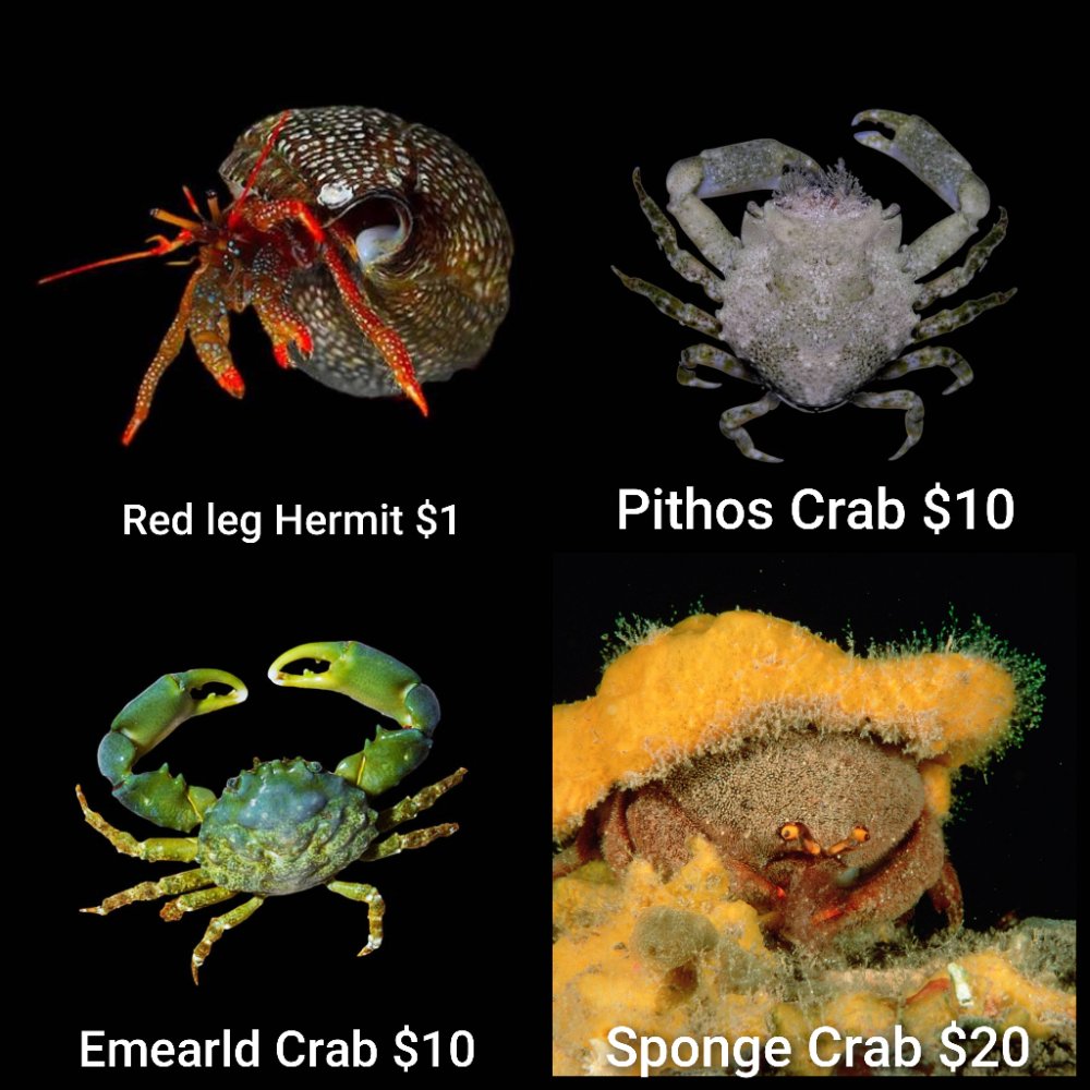 GridArt_20260505_004655350.jpg