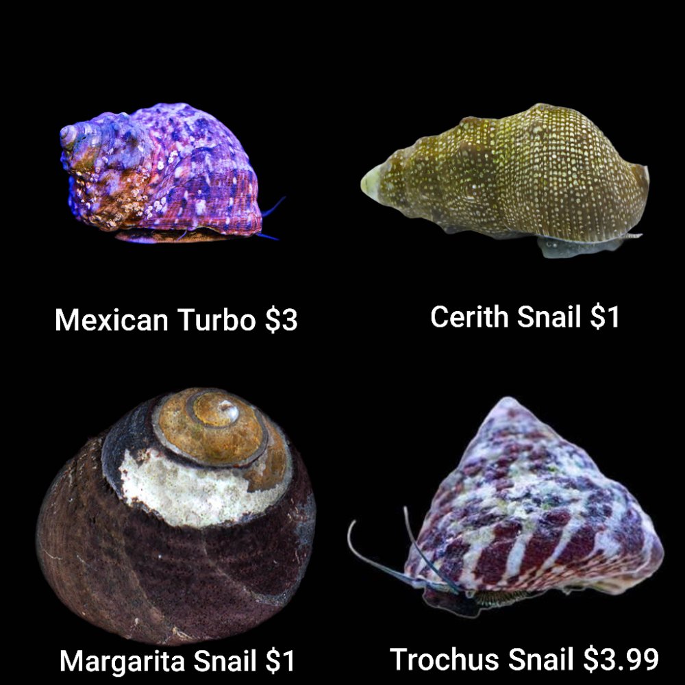 GridArt_20260505_005411966.jpg