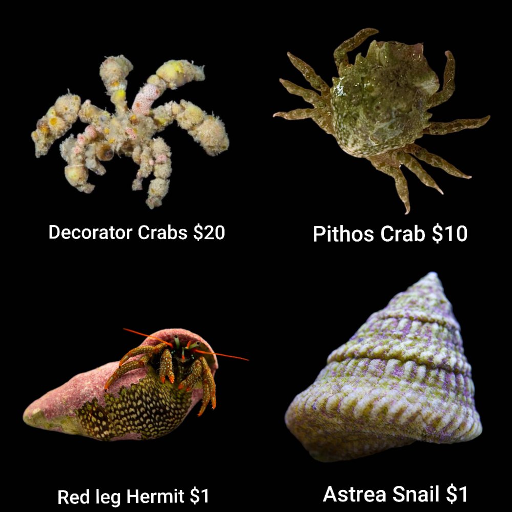 GridArt_20260511_222746554.jpg