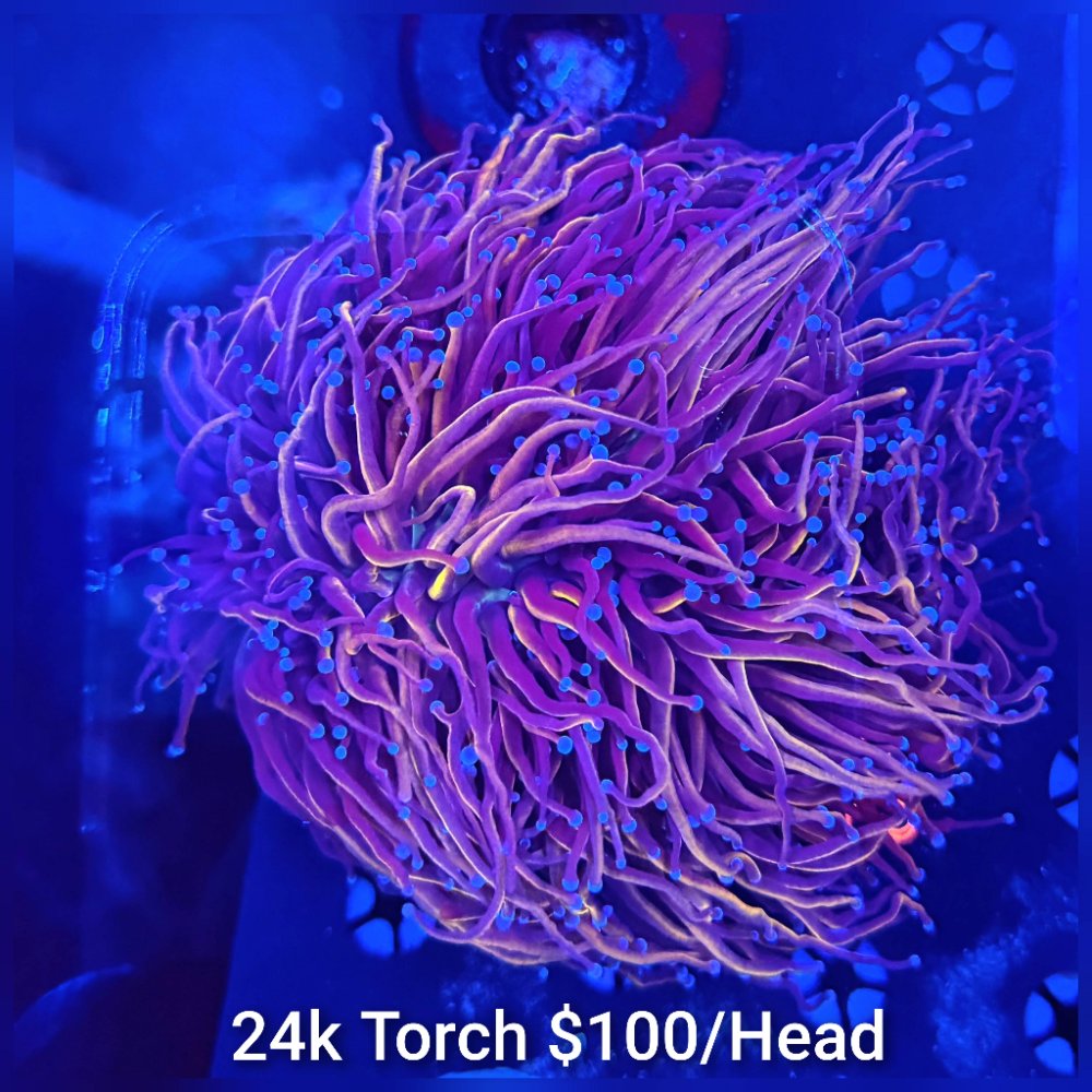 GridArt_20260511_231434943.jpg