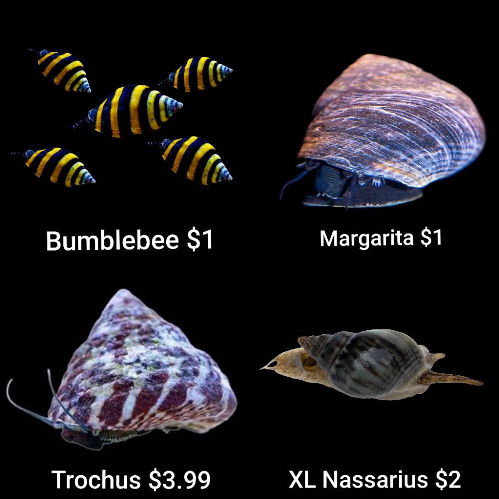 GridArt_20260526_223051813.jpg