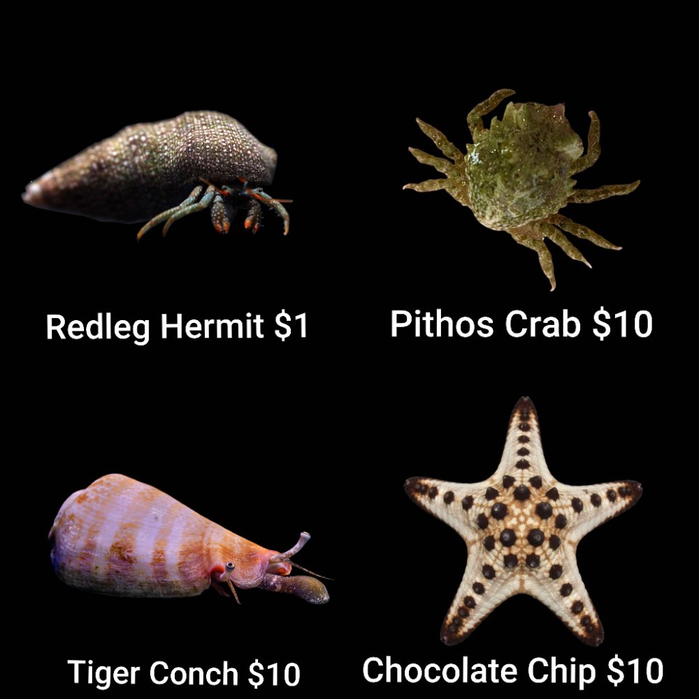 GridArt_20260526_223310880.jpg