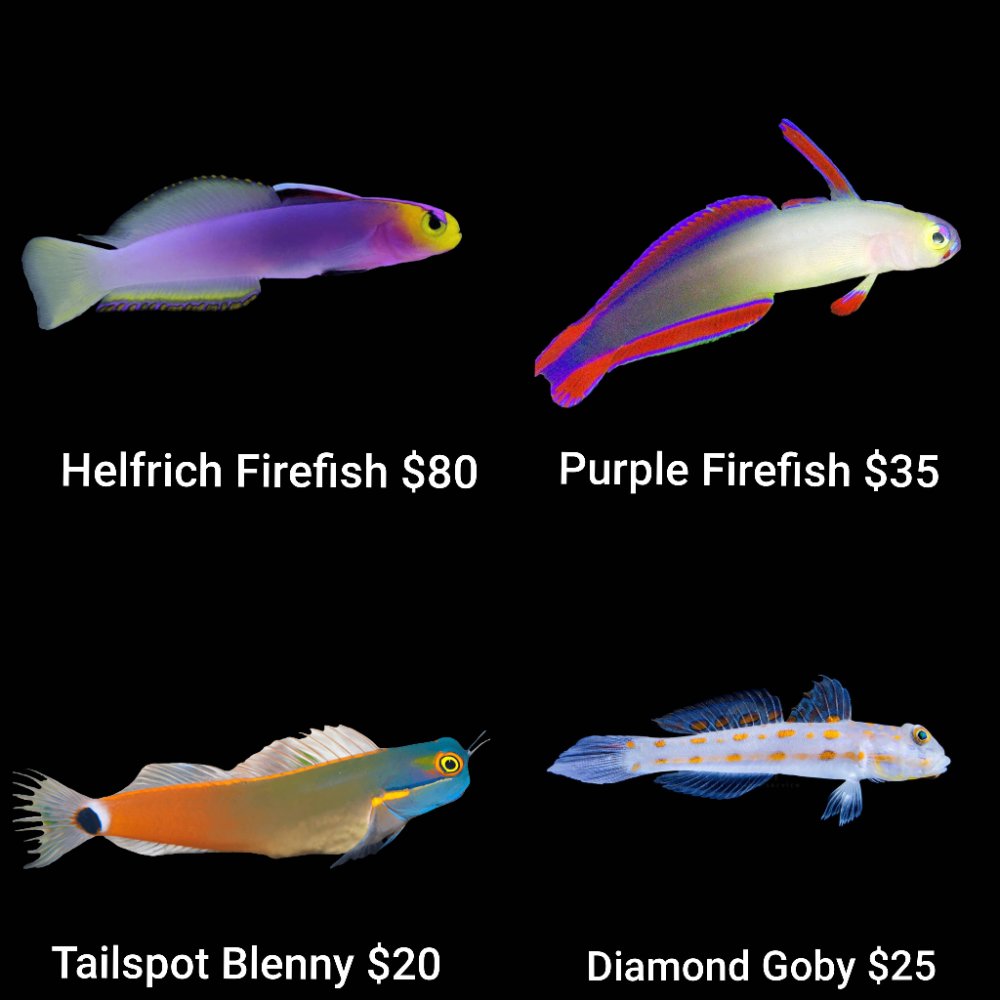 GridArt_20260526_223954693.jpg