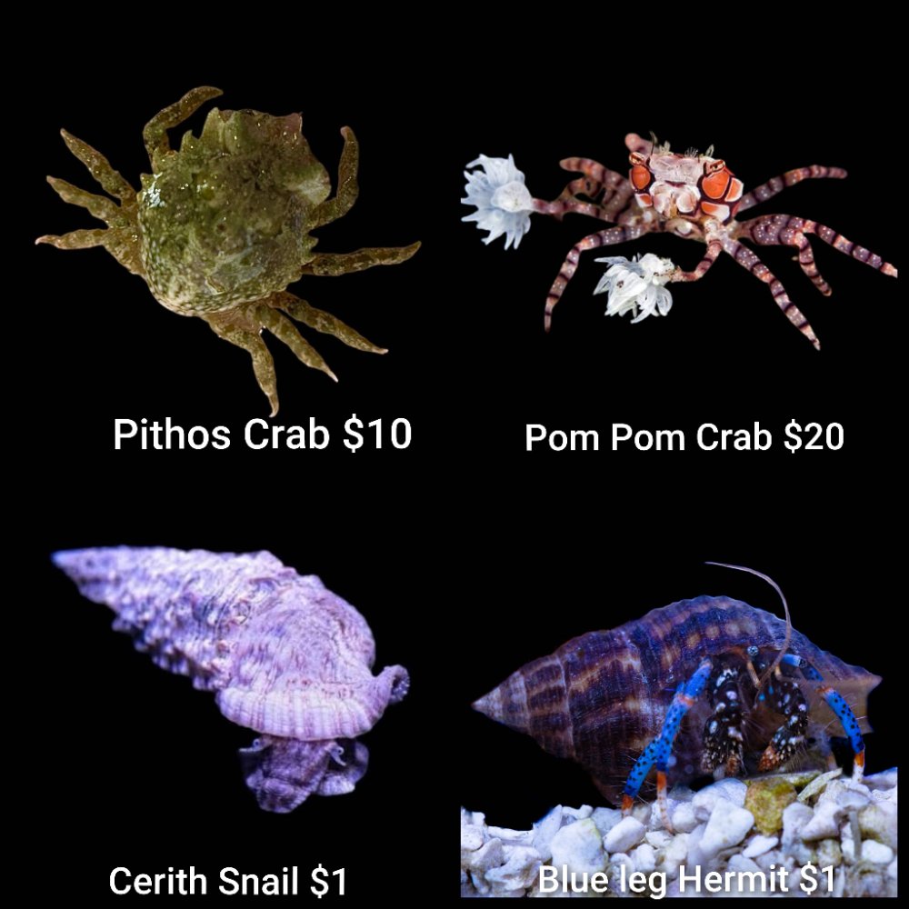 GridArt_20260601_232922665.jpg