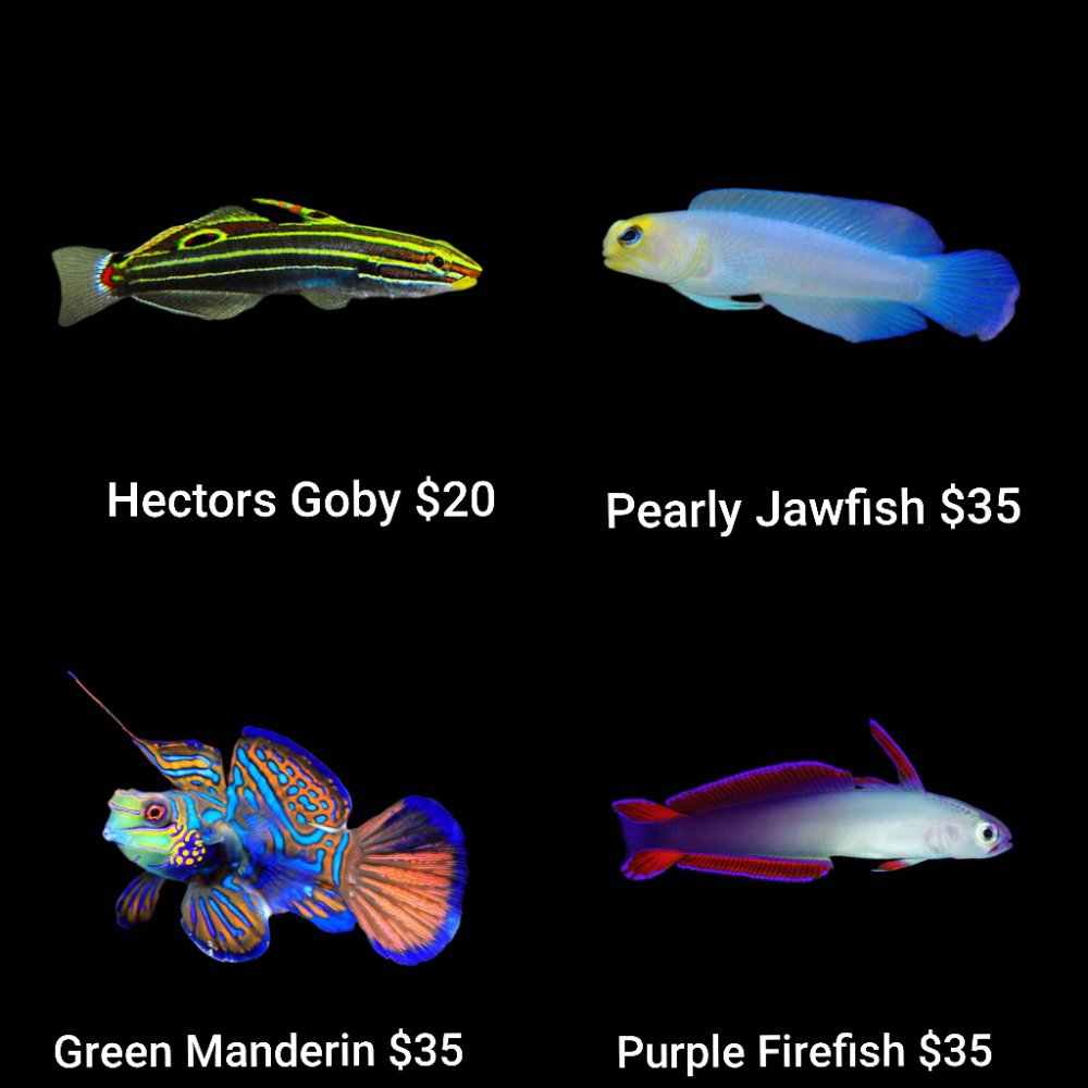 GridArt_20260623_005423296.jpg
