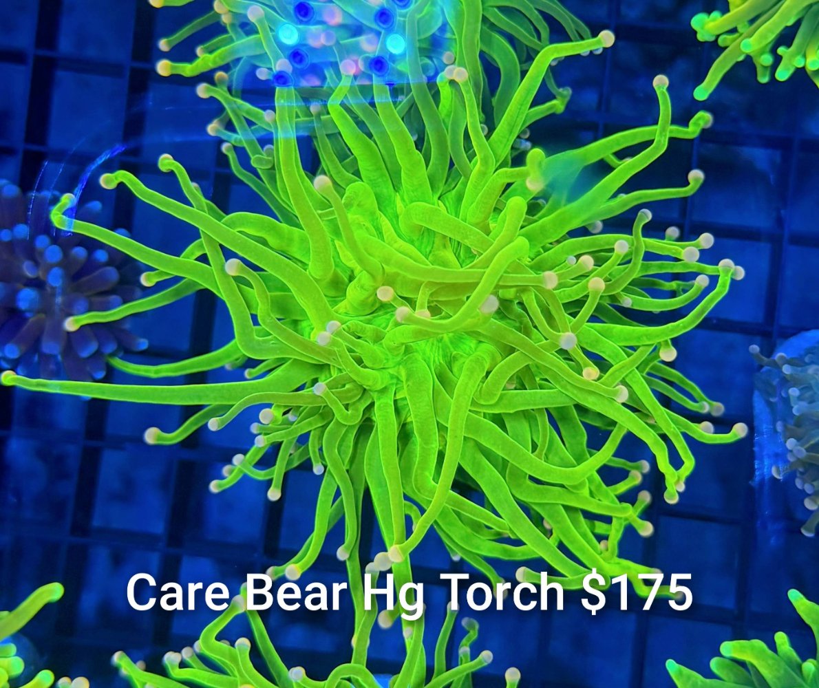 GridArt_20260630_215926176.jpg