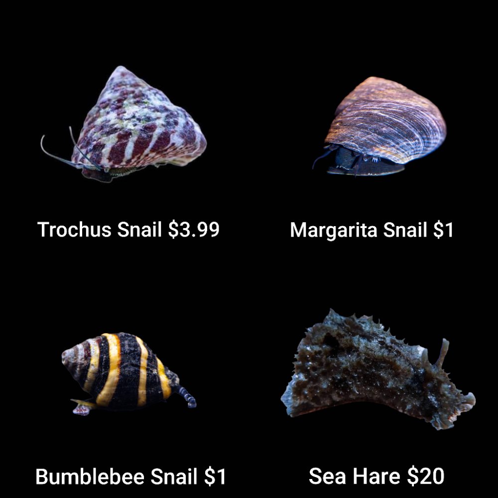 GridArt_20260706_212736458.jpg