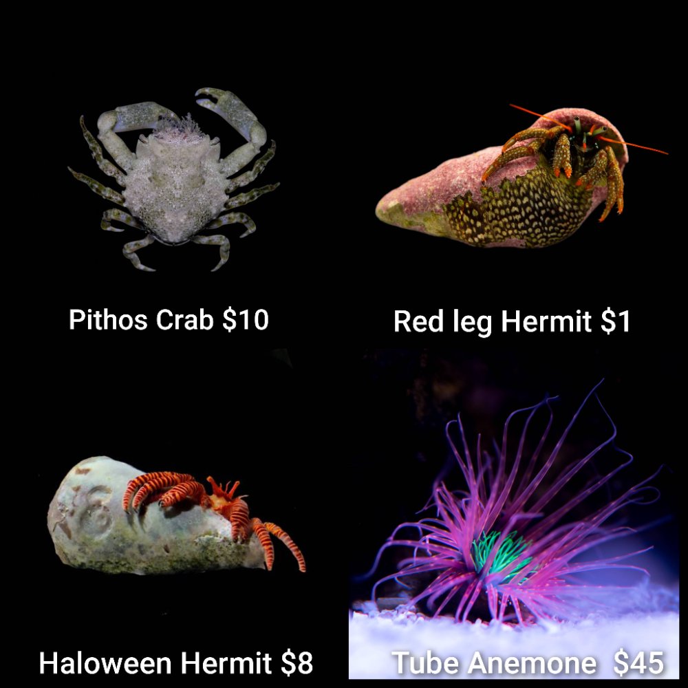 GridArt_20260706_212948616.jpg