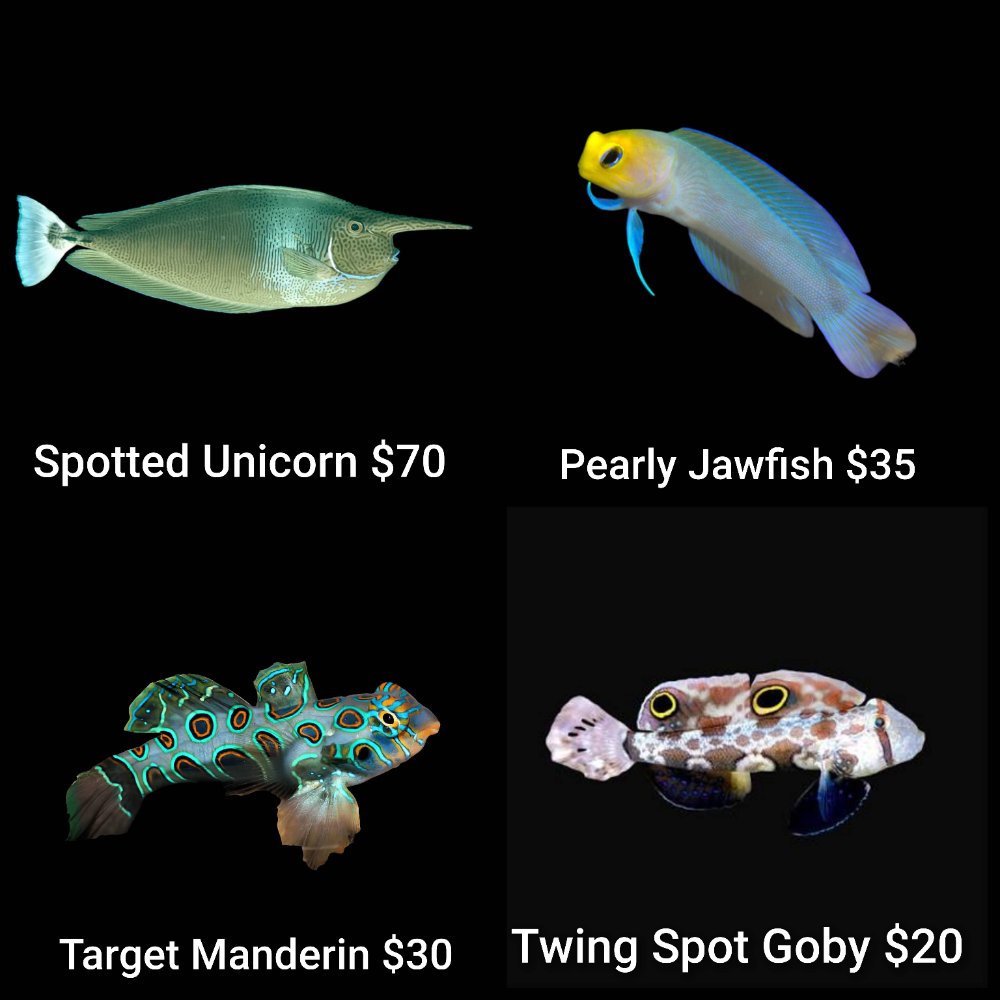GridArt_20260727_230159137.jpg