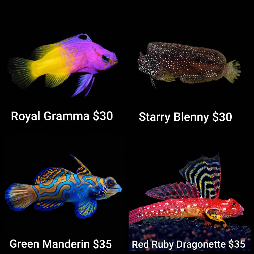 GridArt_20260810_230627220.jpg