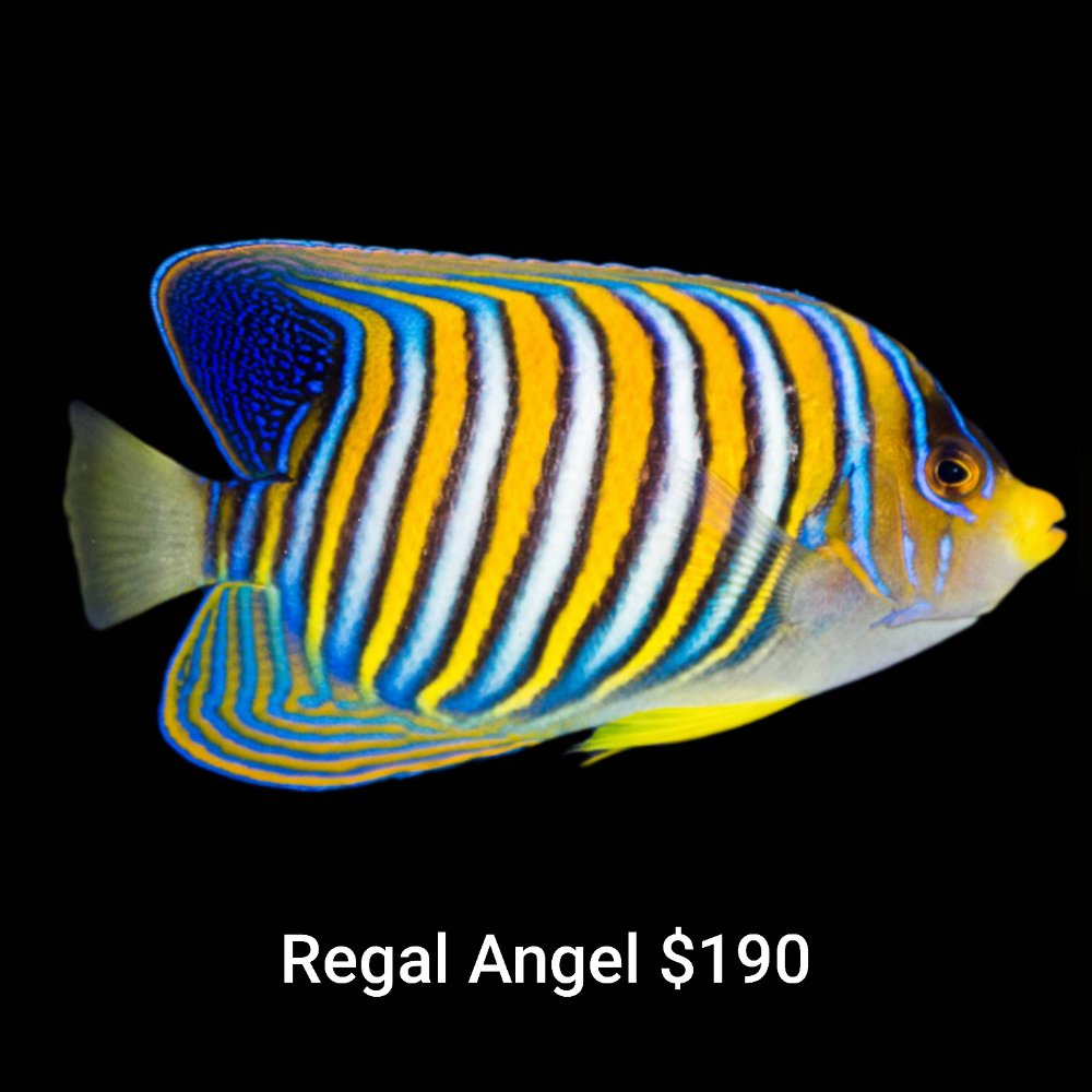 GridArt_20260817_230221329.jpg