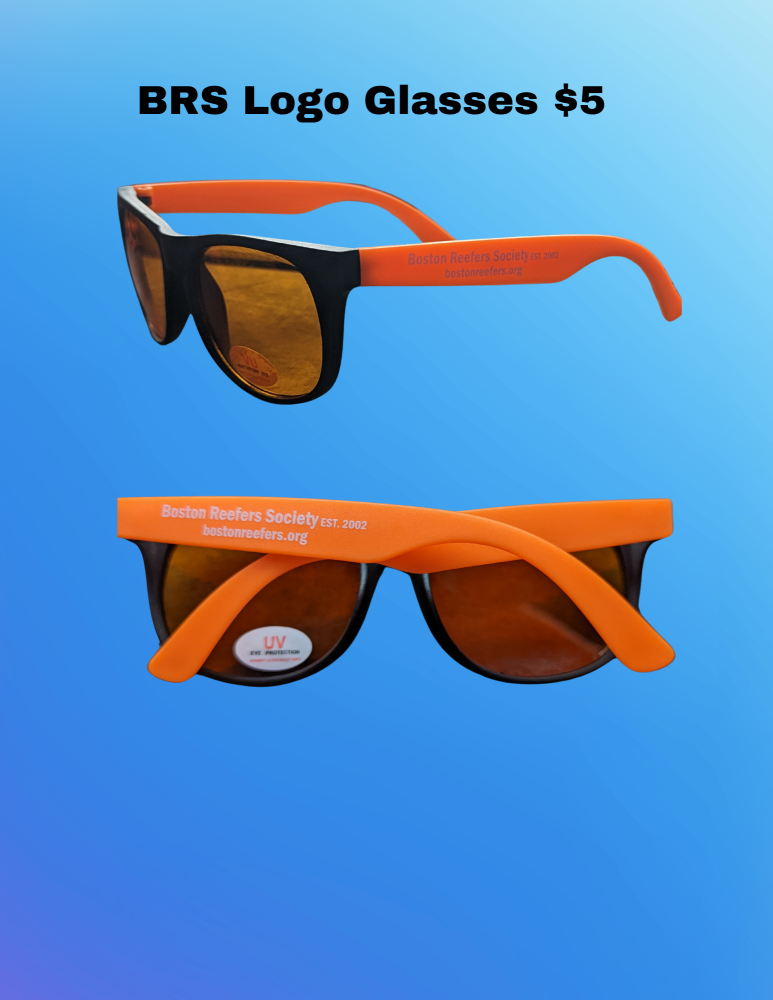 Heavyweight Sport Tek Hoodies.png