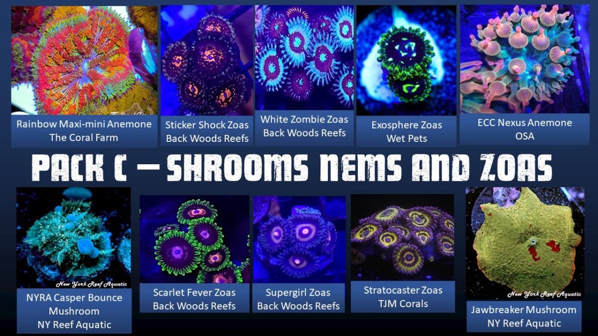 High Roller Posters.jpg