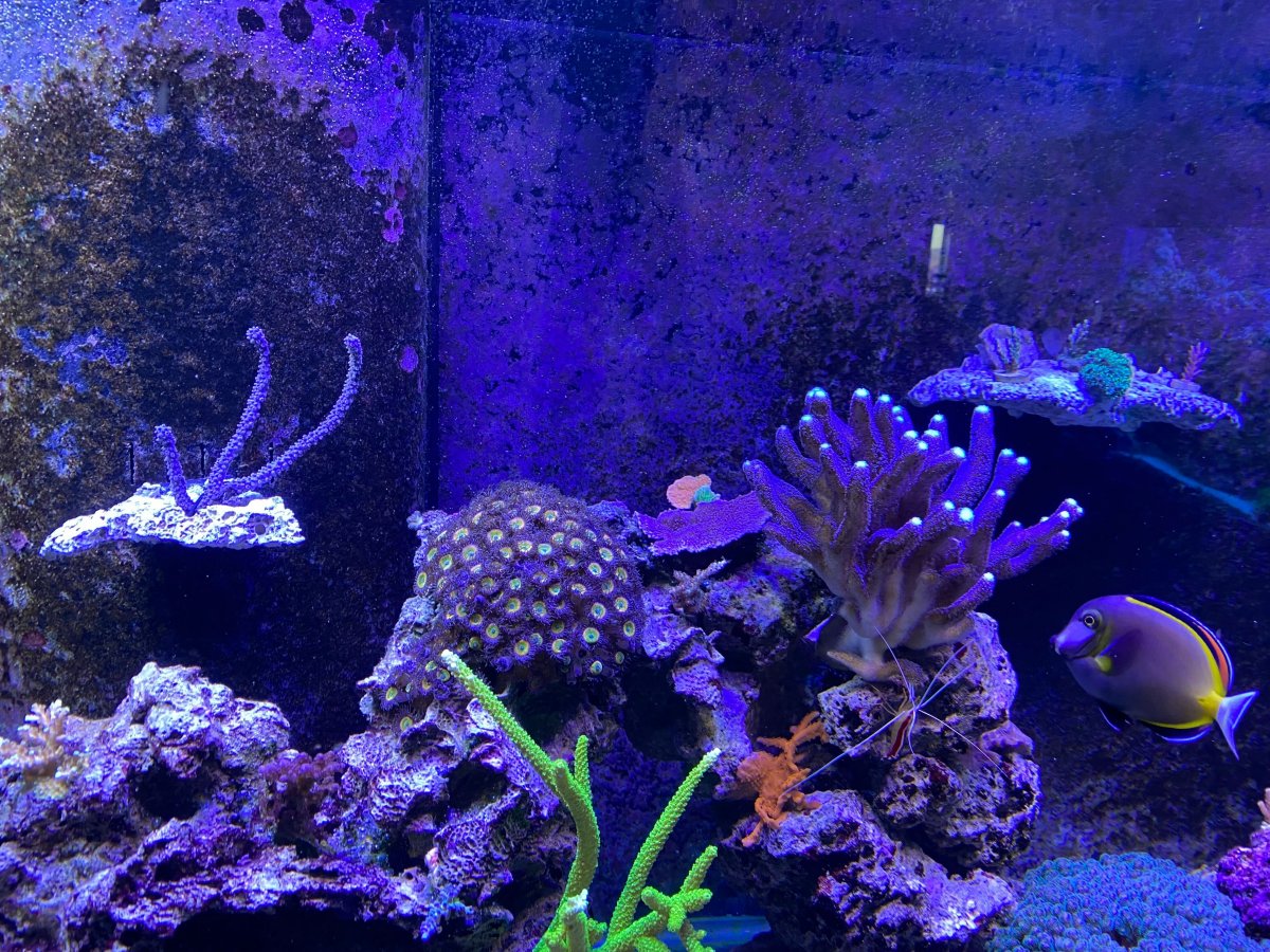 Image from iOS (3).jpg