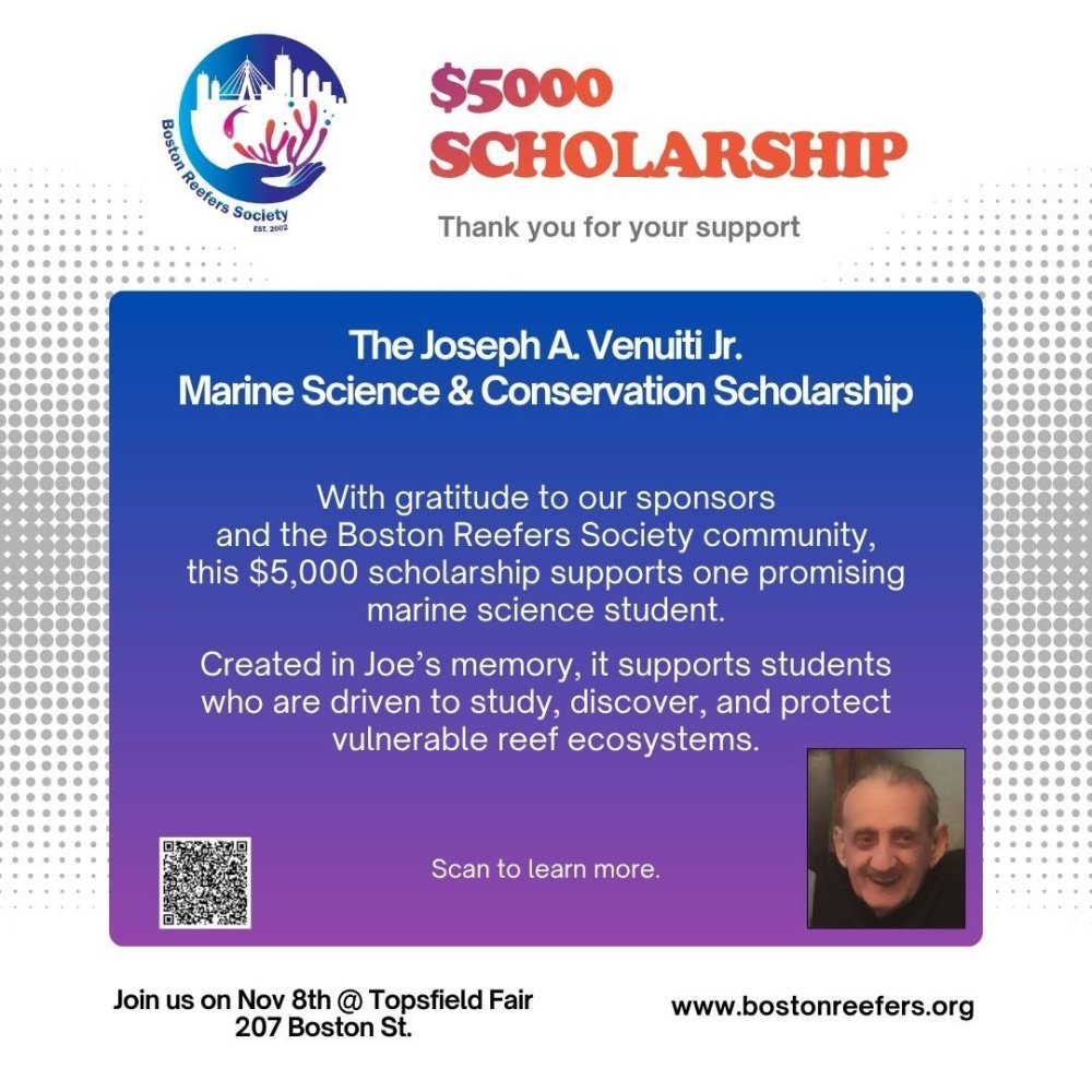 White background.jpg