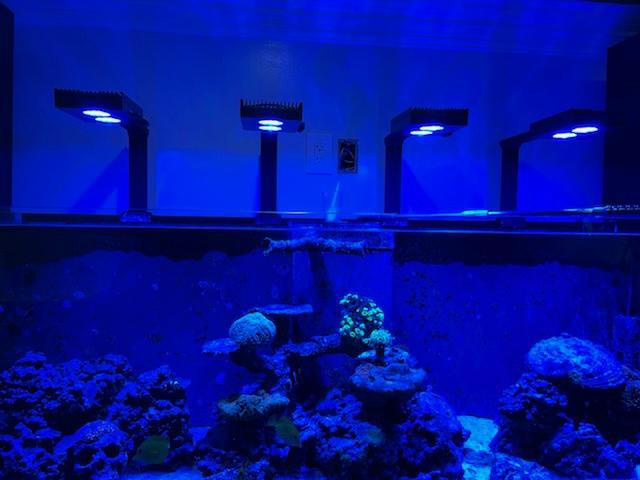 image000008.JPG