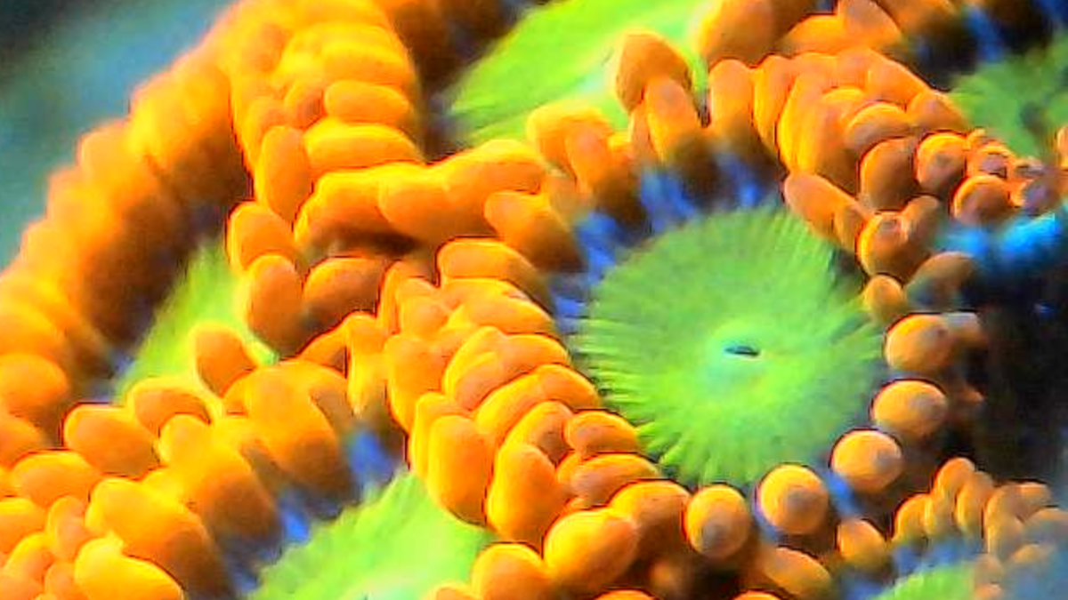 Image_2024-11-24 09_57_19_831.png