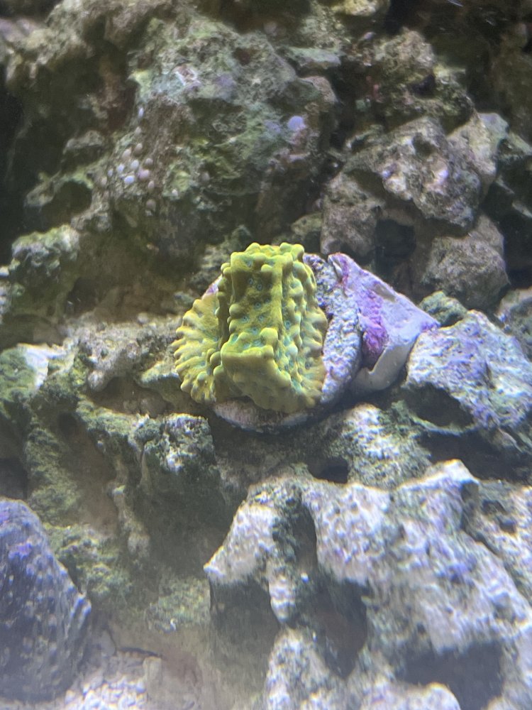 image_67232513 (1).JPG