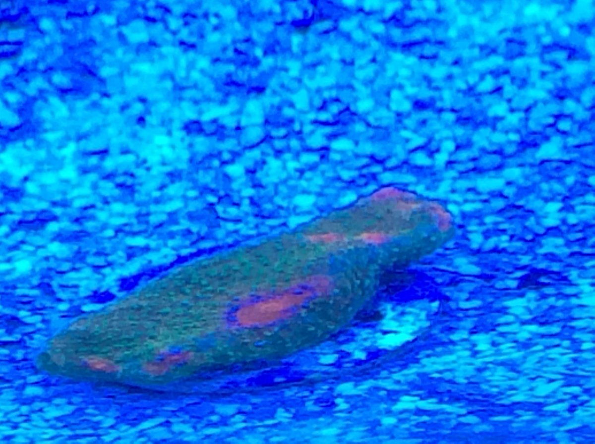 IMG_0513.JPG