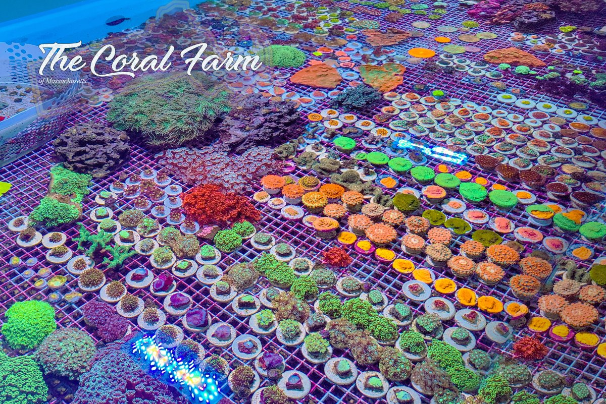 IMG_20210927_201347 web.jpg