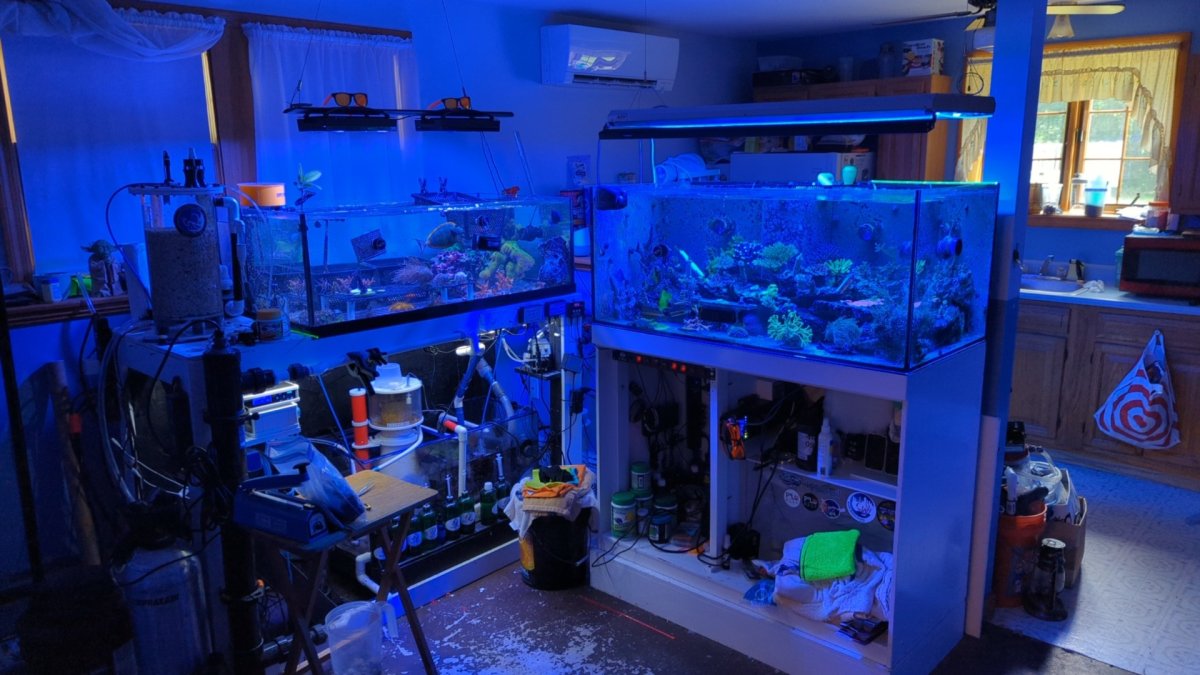 IMG_20230630_140215_02 (1) (1).jpg