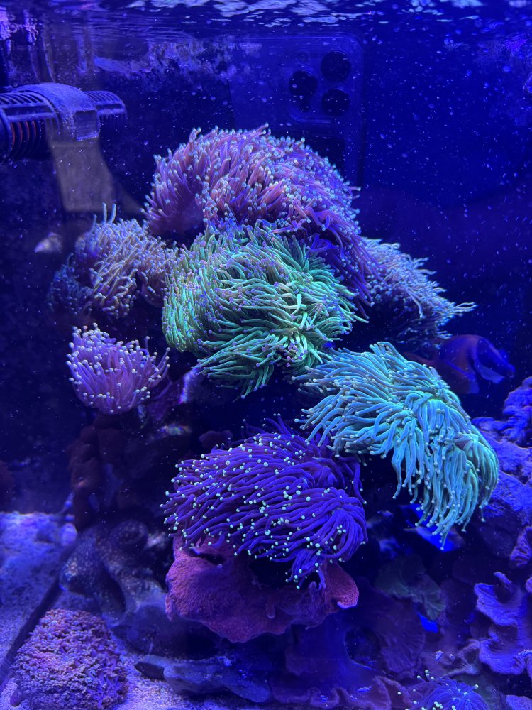 IMG_3587.jpeg